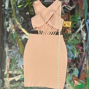 Hybrid & Company Blush Backless Dress